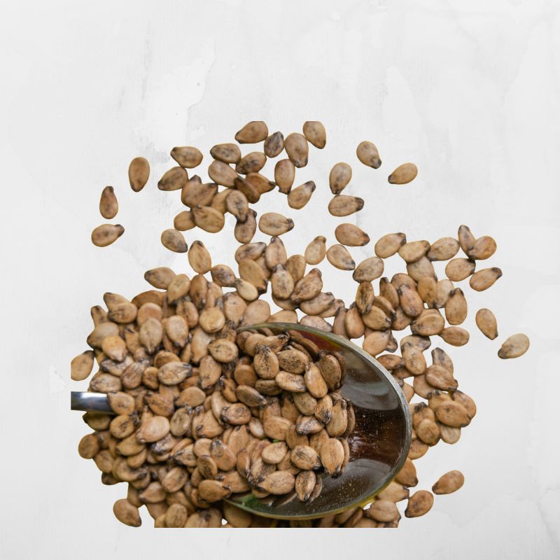 بزر بطيخ مصري 250 غرام